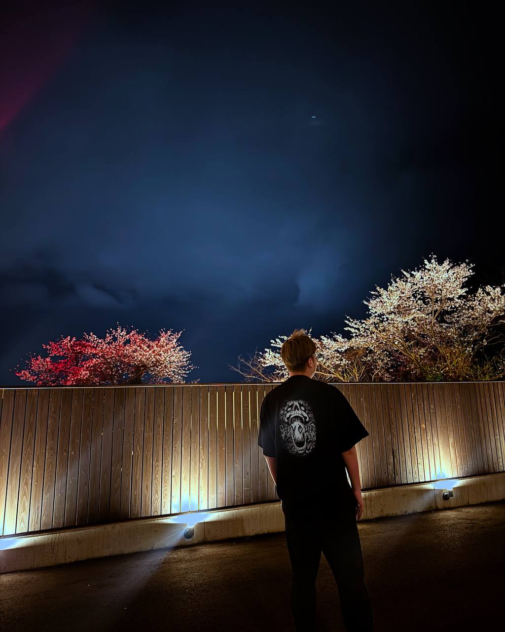 Devour Oversized Blue Lock Anime Tshirt Back